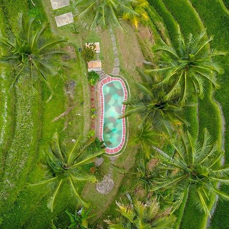 Pesona Bali Ecolodge By Agata Jatiluwih Buitenkant foto