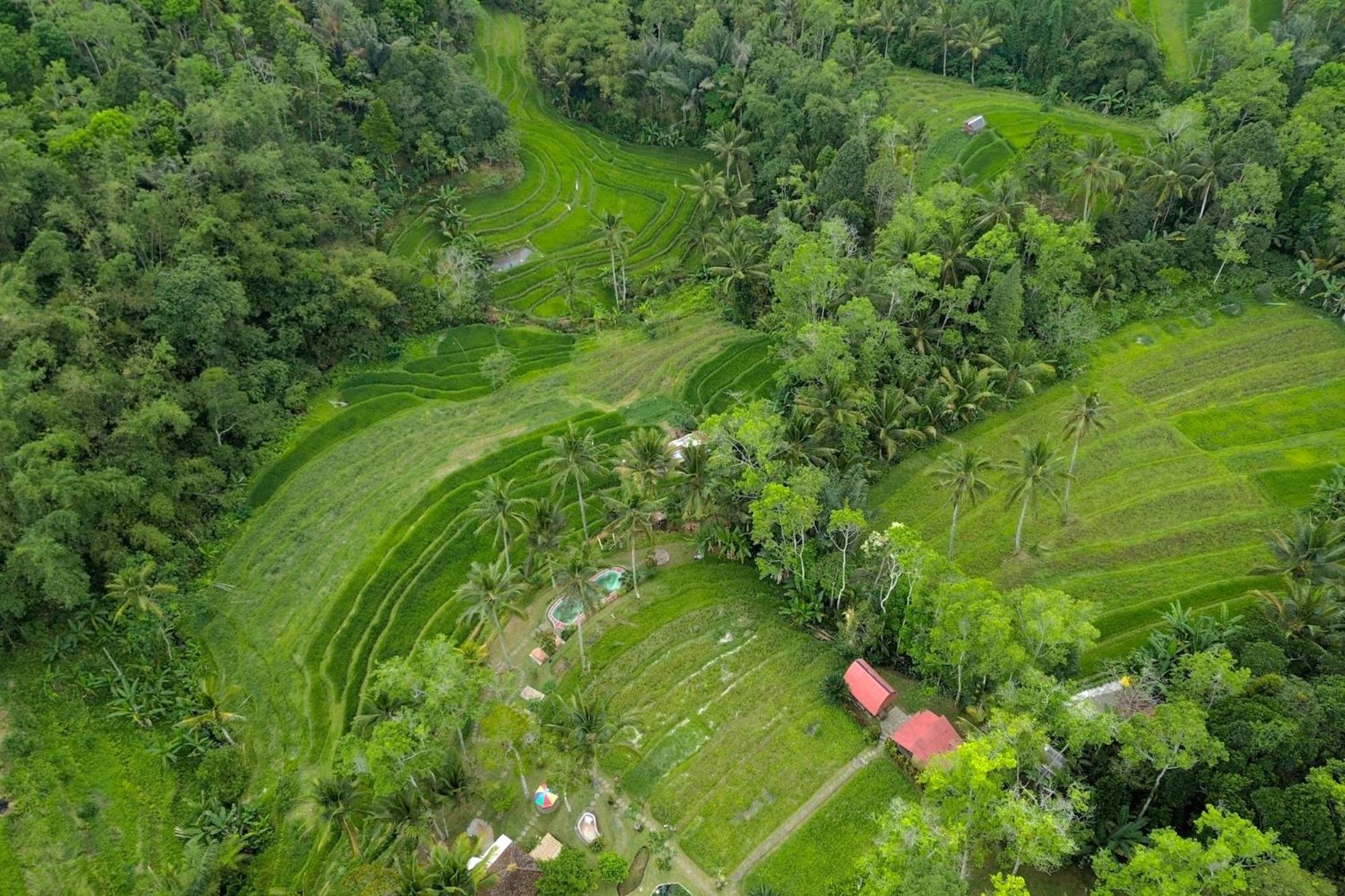 Pesona Bali Ecolodge By Agata Jatiluwih Buitenkant foto
