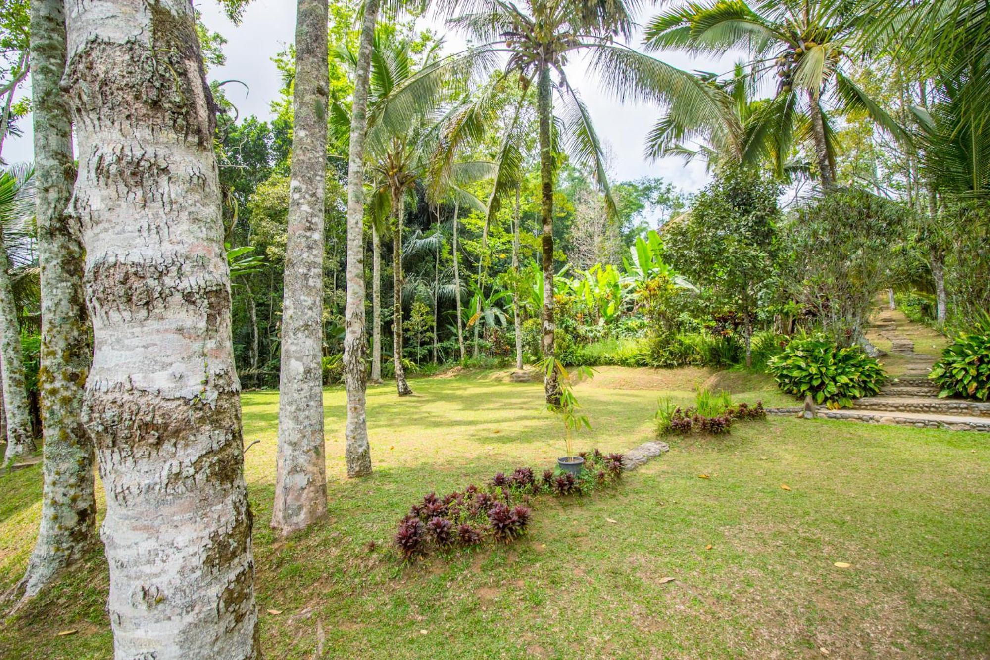 Pesona Bali Ecolodge By Agata Jatiluwih Buitenkant foto