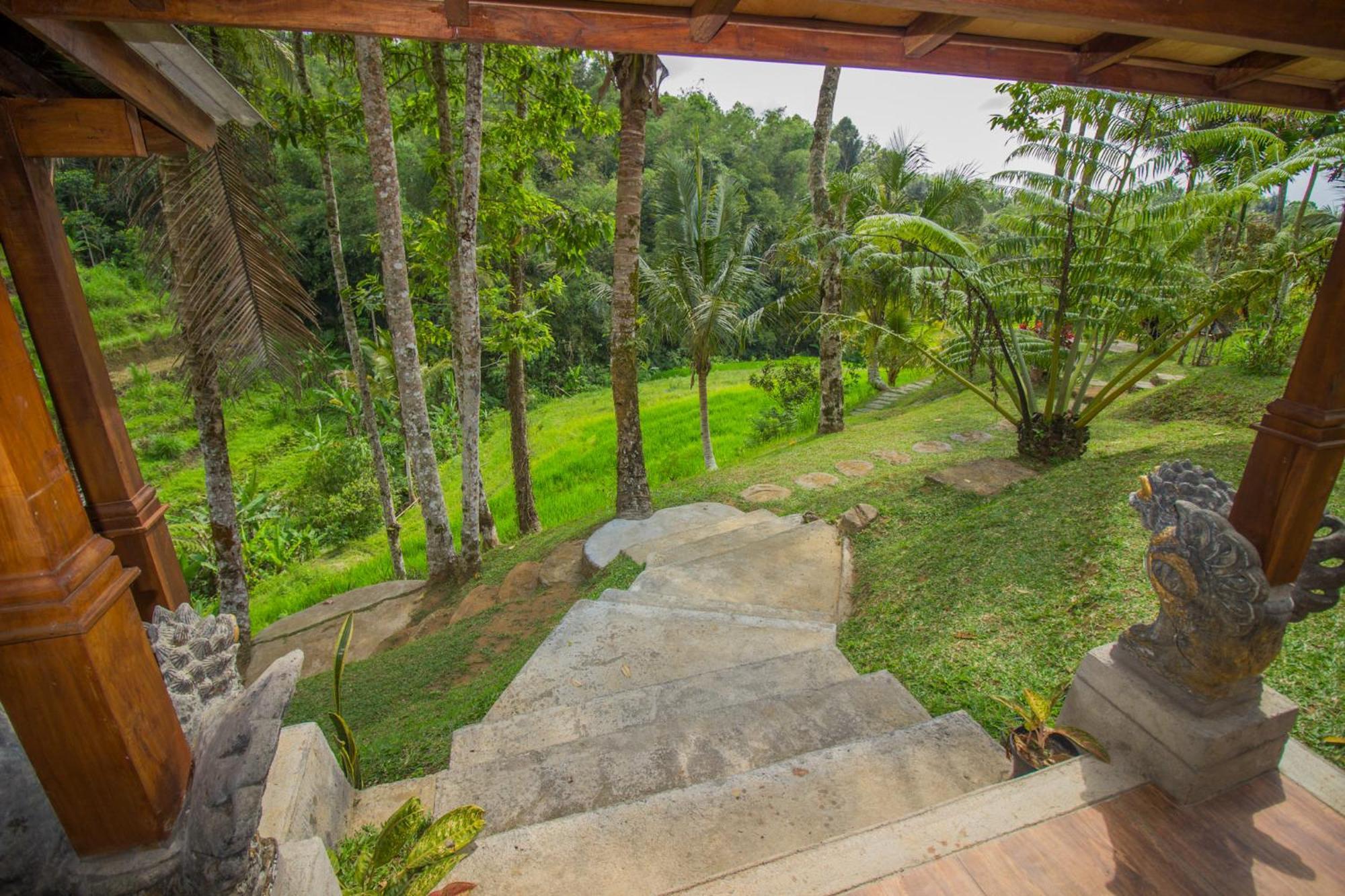 Pesona Bali Ecolodge By Agata Jatiluwih Buitenkant foto