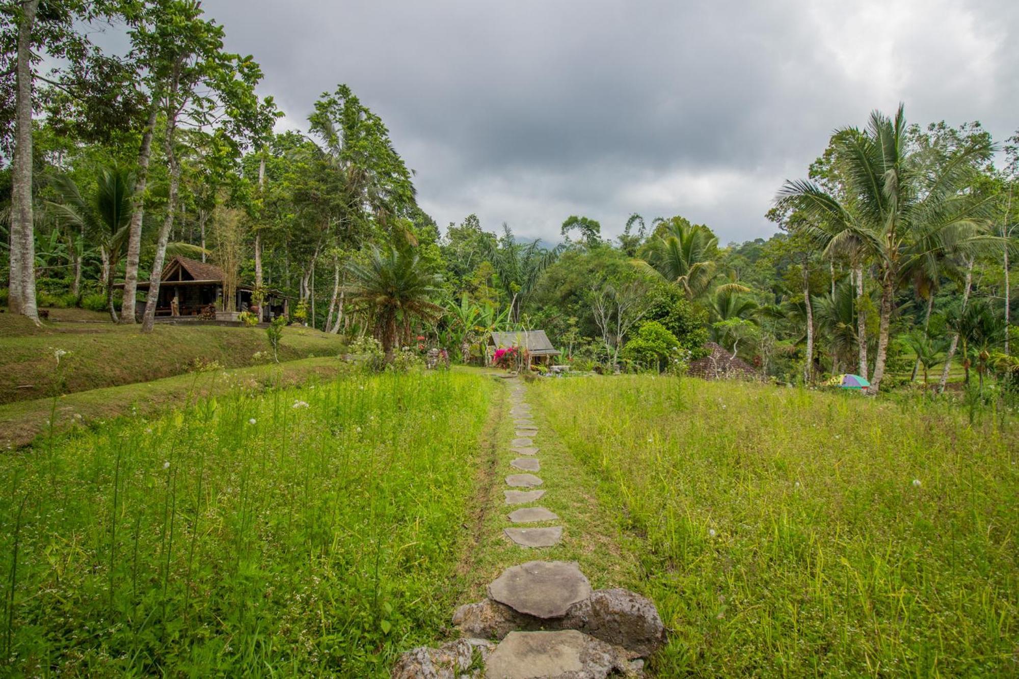 Pesona Bali Ecolodge By Agata Jatiluwih Buitenkant foto